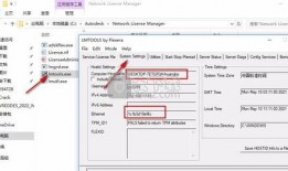 表哥皮肤爆料视频下载软件,独家下载神器带你领略游戏魅力