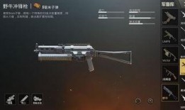 九级升级枪最新爆料,揭秘未来战场利器，全新爆料震撼来袭！