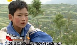 变形计最新爆料,揭秘明星真实生活，挑战极限的蜕变之旅