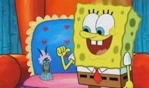 海绵宝宝被爆料视频大全,重温经典瞬间